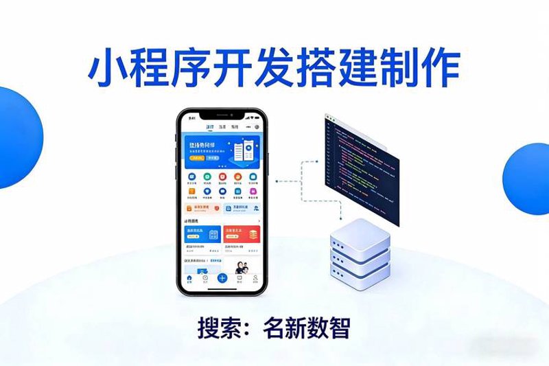 软件定制开发:企业成长的加速器